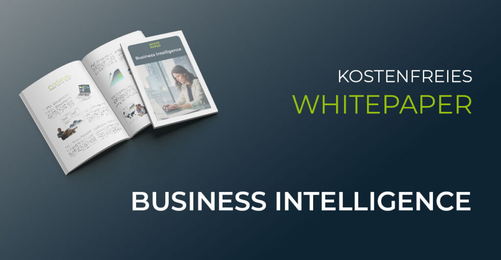 Whitepaper Business Intelligence